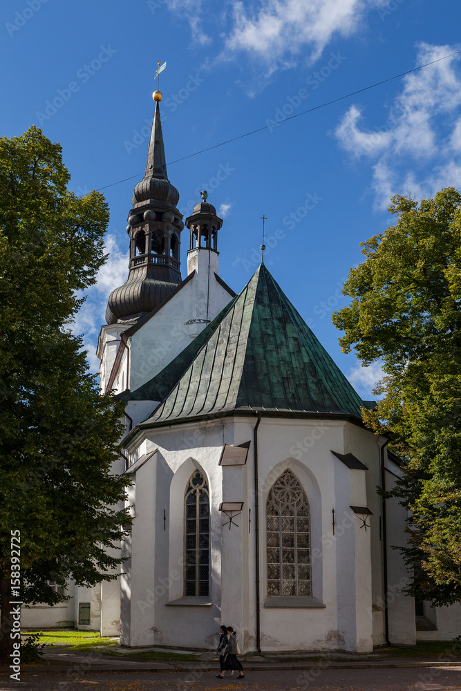 Dome Church (Cathedral of Saint Mary the Virgin). Originally established by Danes in the 13th century, it is the oldest church in Tallinn and mainland Estonia.