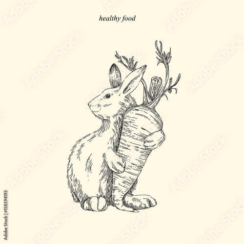 Healthy food. Hare with carrots. Vintage style. Vector illustration