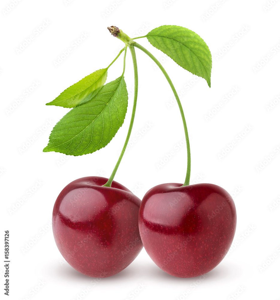 Cherry isolated on white background Cherry isolated on white background