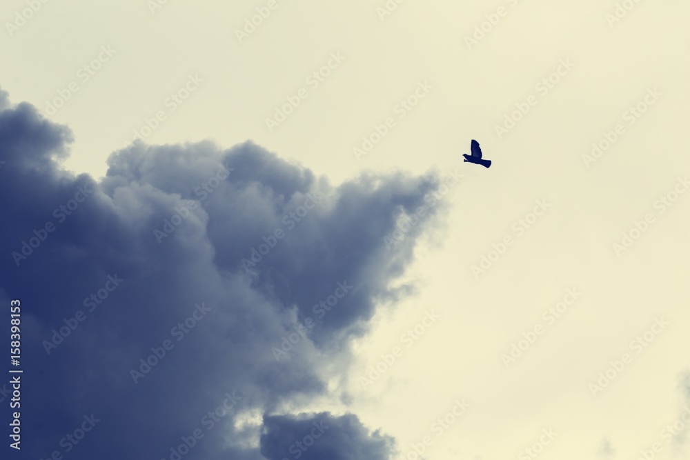 Overcast and Dark sky clouds background Overcast and Dark sky clouds background