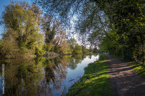 a path by the river Lee with trees