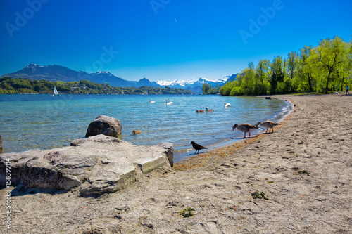 Sandy beach in Luzern city with Lucerne lake, Pilatus mountain a