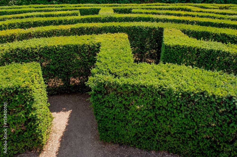 labyrinth labyrinth