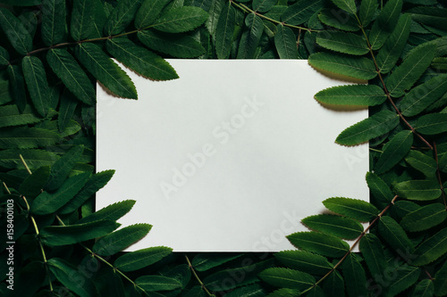 Creative layout made of green leaves. Flat lay. Nature concept. 