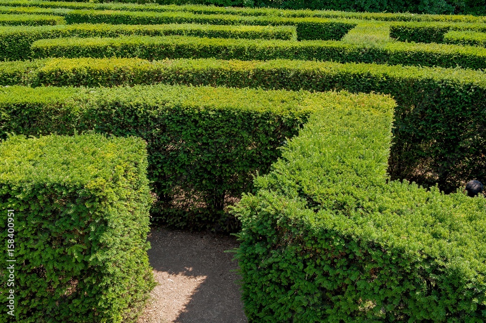 labyrinth labyrinth