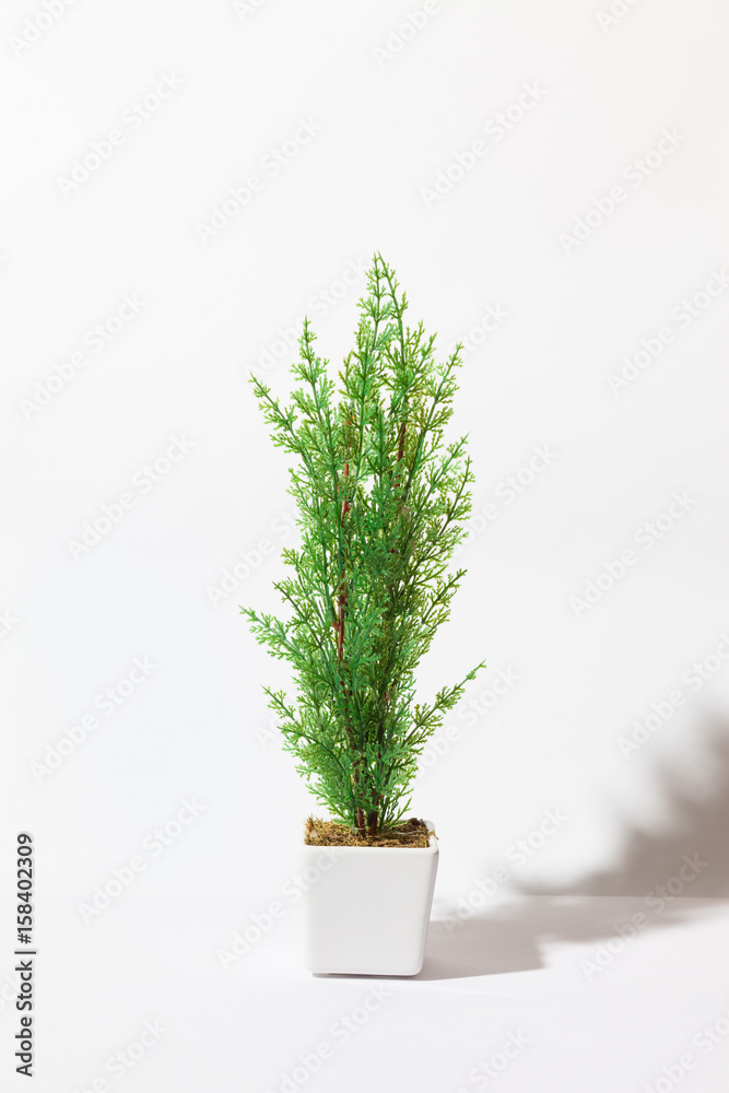 Fake flower in white flower pot and on white background. Fake flower in white flower pot and on white background.