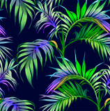 Print summer exotic jungle plant tropical palm leaves