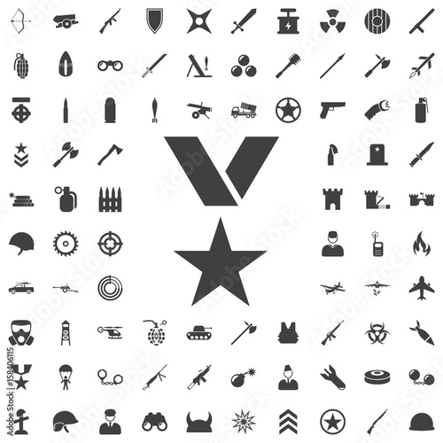 Vector medal Icon