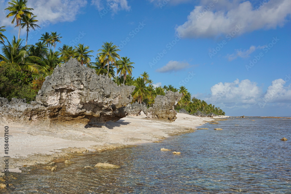 Atoll of Tikehau coastal landscape with coconut trees and eroded rocks on the seashore, Tuamotus archipelago, French Polynesia, Pacific ocean