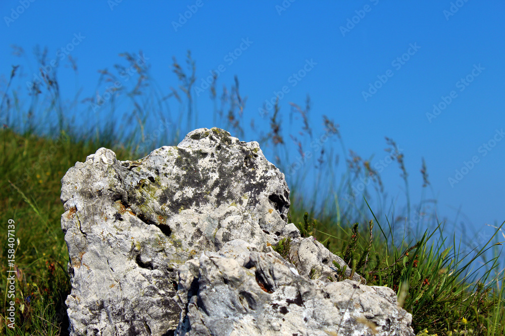 Limestone block close up surrounded by grass Limestone block close up surrounded by grass