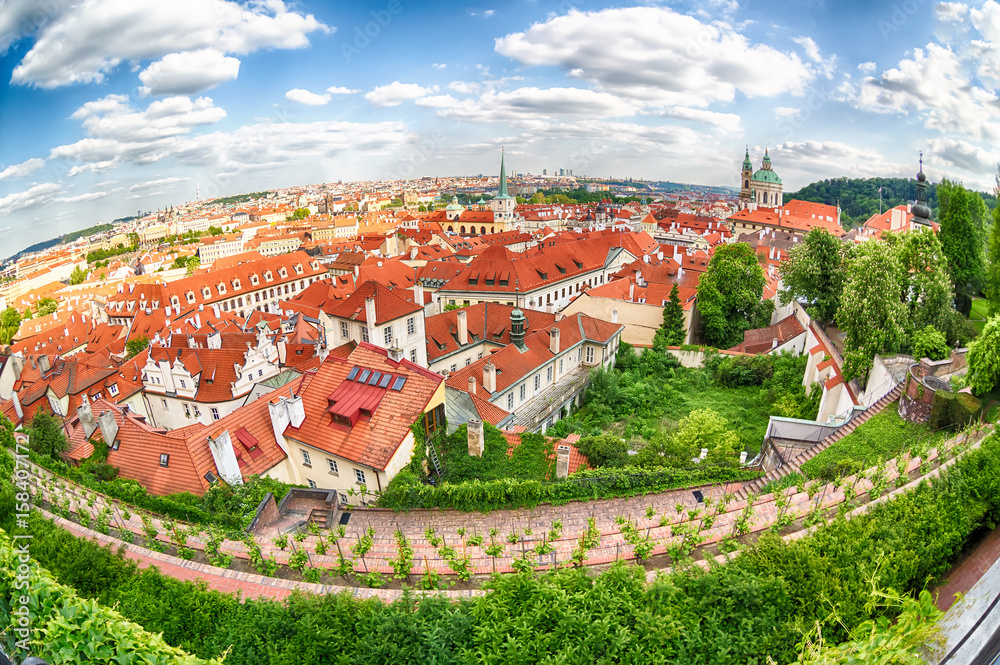 Houses with traditional red roofs and trees in Prague Mala Strana district in the Czech Republic. Fish-eye lens