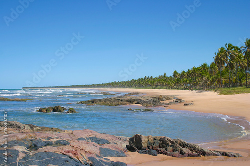Tropical beach at Bahia, Brazil