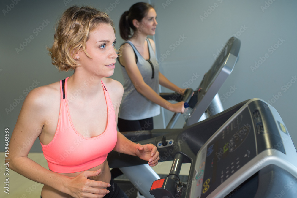 Women working out on exercise equipment