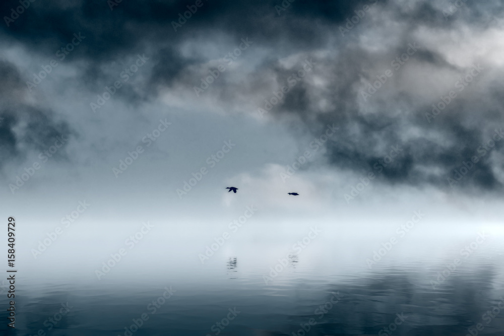 Obraz premium Ducks flying in storm clouds