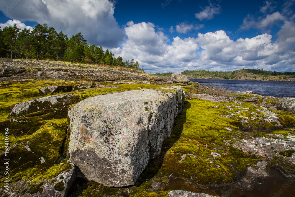 Russia. Karelia. Islands in the Ladoga Lake. Large stones. Moss and lichen. Northern nature. Sunny day.