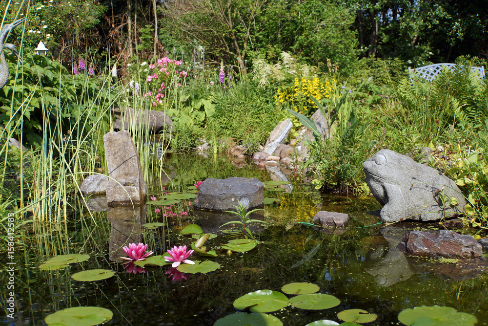Fototapeta premium naturnaher Gartenteich mit kleinem Wasserfall