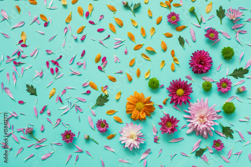 Fototapeta Naklejka Na Ścianę i Meble -  Colored asters on canvas. Abstract background