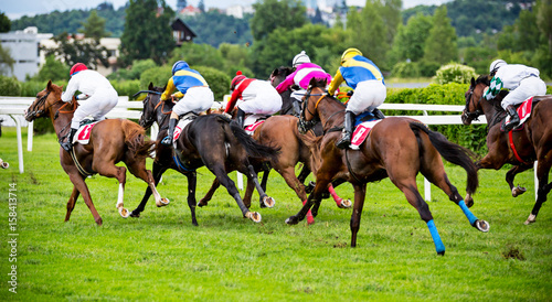 Race horses with jockeys on the home straight © Lukas Gojda