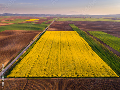 Aerial shot of canola, rape seed from a drone. Beautiful agricultural landscape.