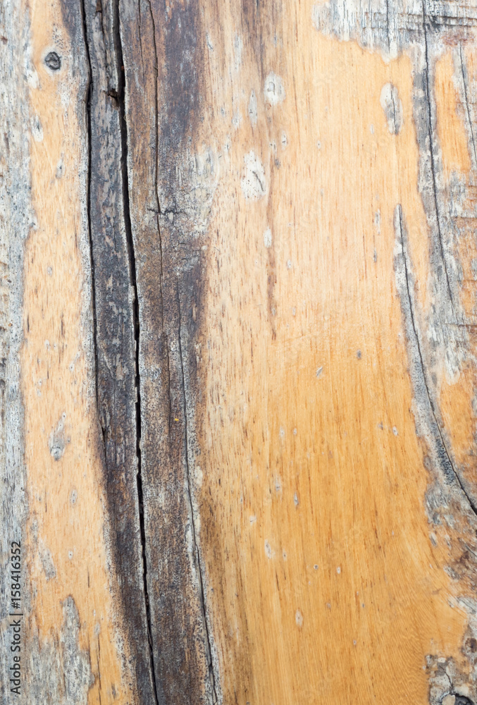 old wood background old wood background