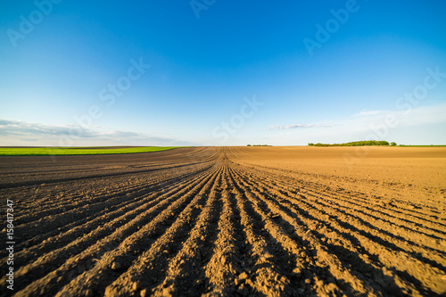 Agricultural landscape, arable crop field. Arable land is the land under temporary agricultural crops capable of being ploughed and used to grow crops.