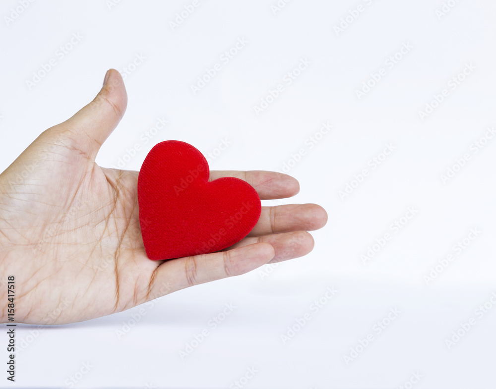 Red heart in girl hand isolate on white background Red heart in girl hand isolate on white background