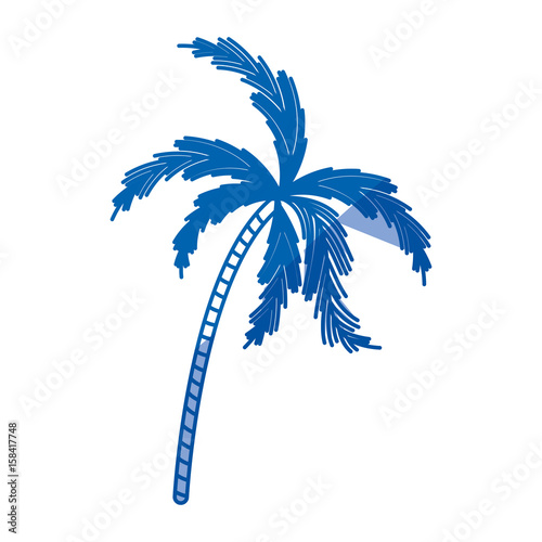 blue shading silhouette of palm tree vector illustration