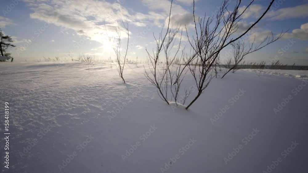 winter wonderland snow beach in ontario canada cold winter wonderland snow beach in ontario canada cold