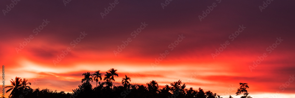 panorama of nature background. sunset with silhouette palm tree in  forest and colorful sky