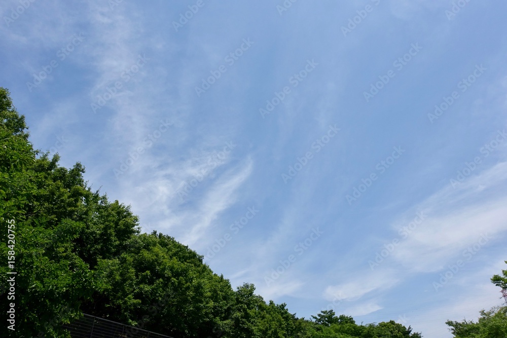 初夏の青空