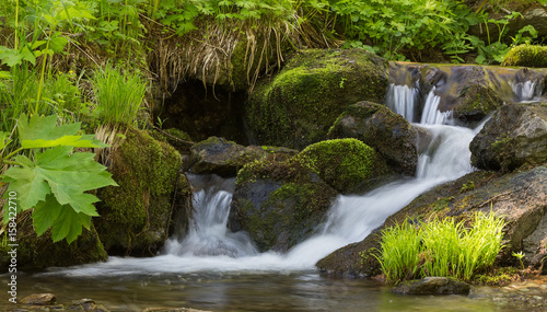 Thresholds on a mountain stream in the forest