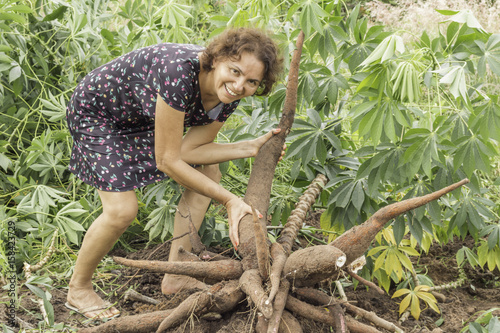 woman picking manioc in the fields