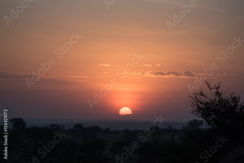 Serengeti hazy sunrise