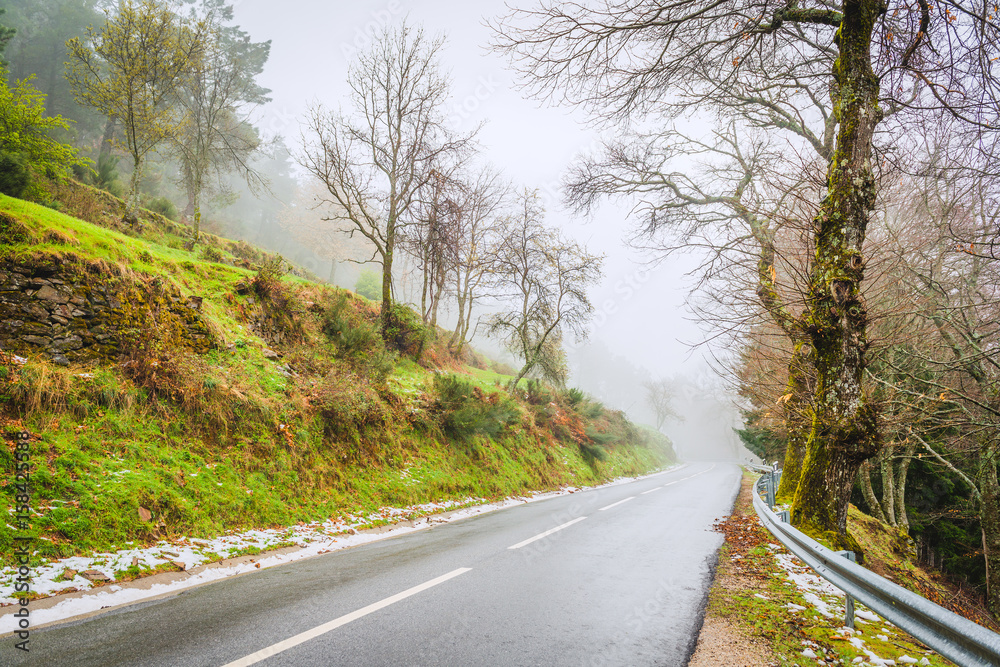 Obraz premium Forest road in the Serra da Estrela mountains. County of Guarda. Portugal