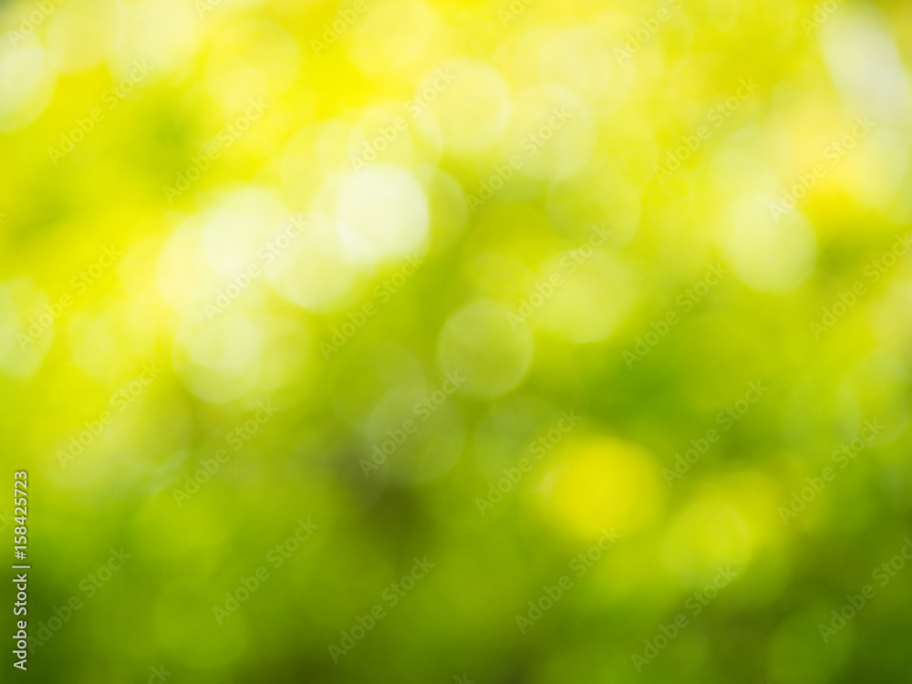 the abstract background of natural light bokeh from Leaves with green yellow orange color the abstract background of natural light bokeh from Leaves with green yellow orange color
