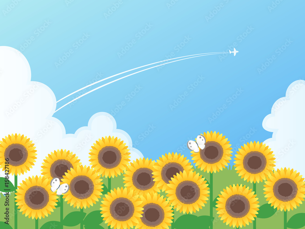ひまわり畑と夏の空のベクターイラスト Stock Vector Adobe Stock