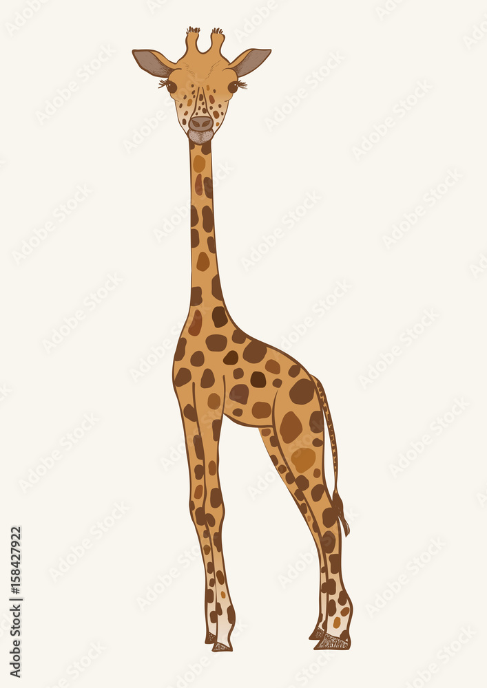 Naklejka premium Hand drawn colored vector giraffe.
