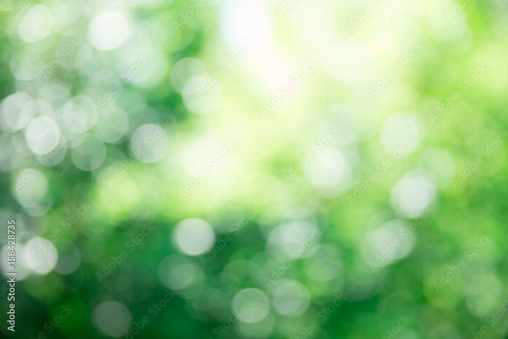 green bokeh background green bokeh background