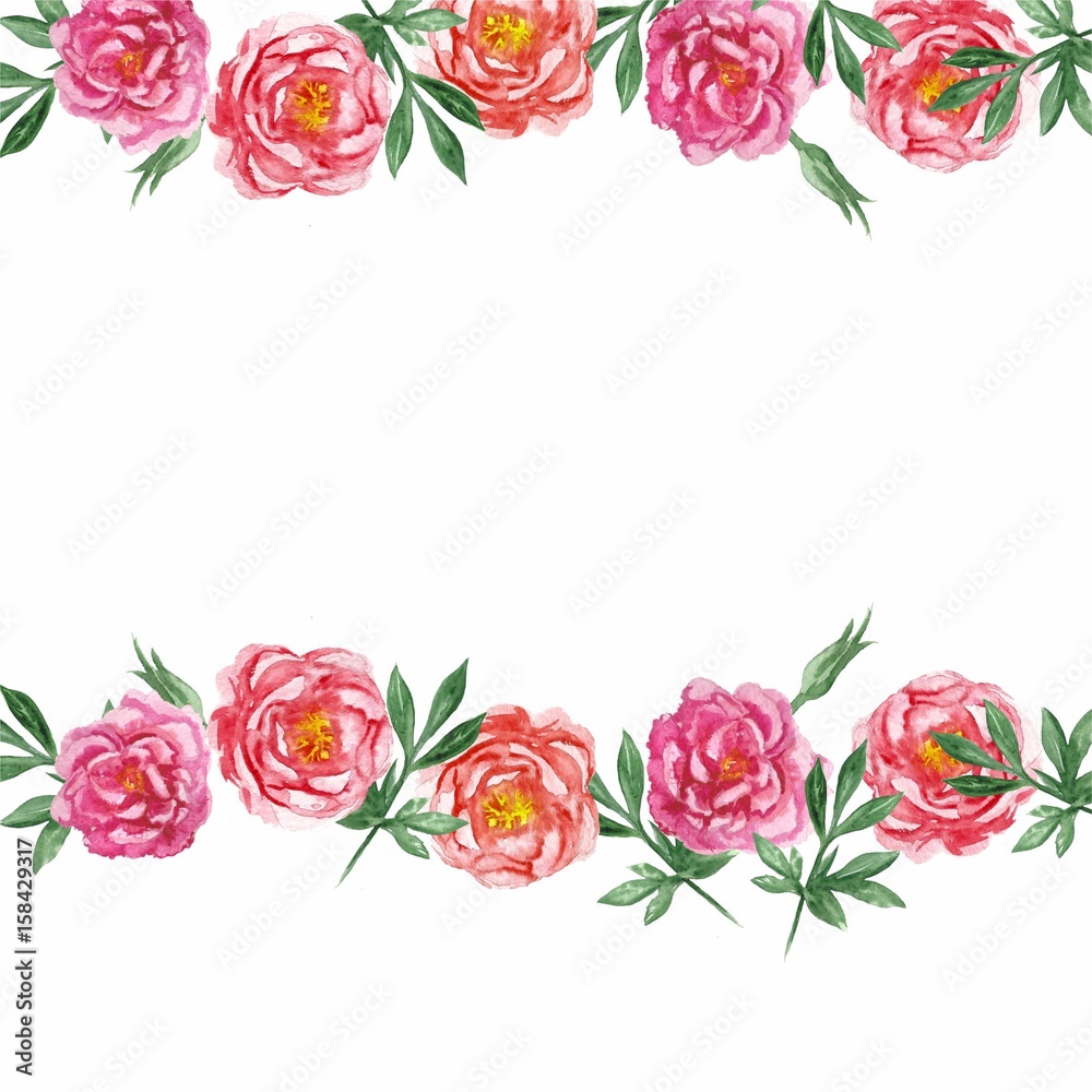 Watercolor pnk peonies banner isolated on white background
