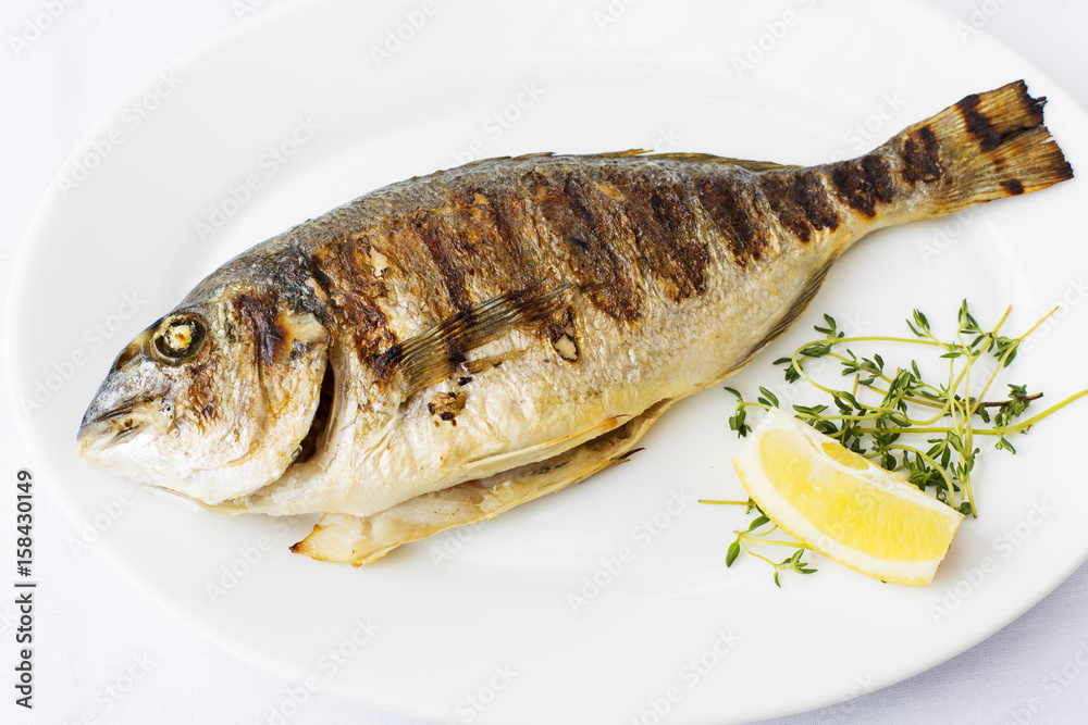 Grilled fish, sparus aurata fish on white background Grilled fish, sparus aurata fish on white background
