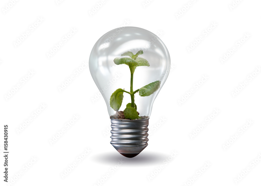 Light bulb in green environment concept - 3d rendering Light bulb in green environment concept - 3d rendering