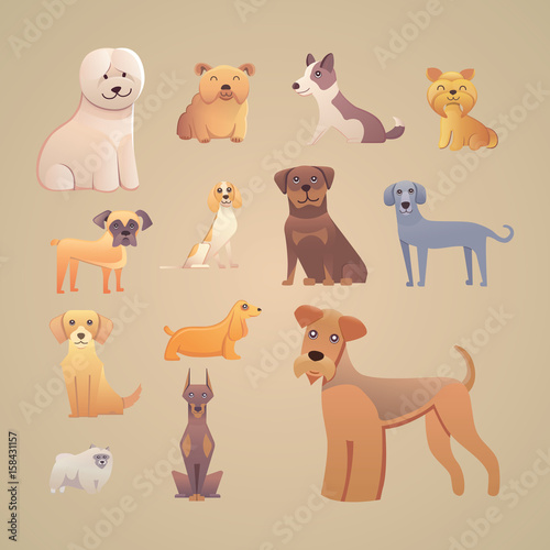 Fototapeta Naklejka Na Ścianę i Meble -  Group of purebred dogs. Illustration for dog training courses, breed club landing page and corporate site design