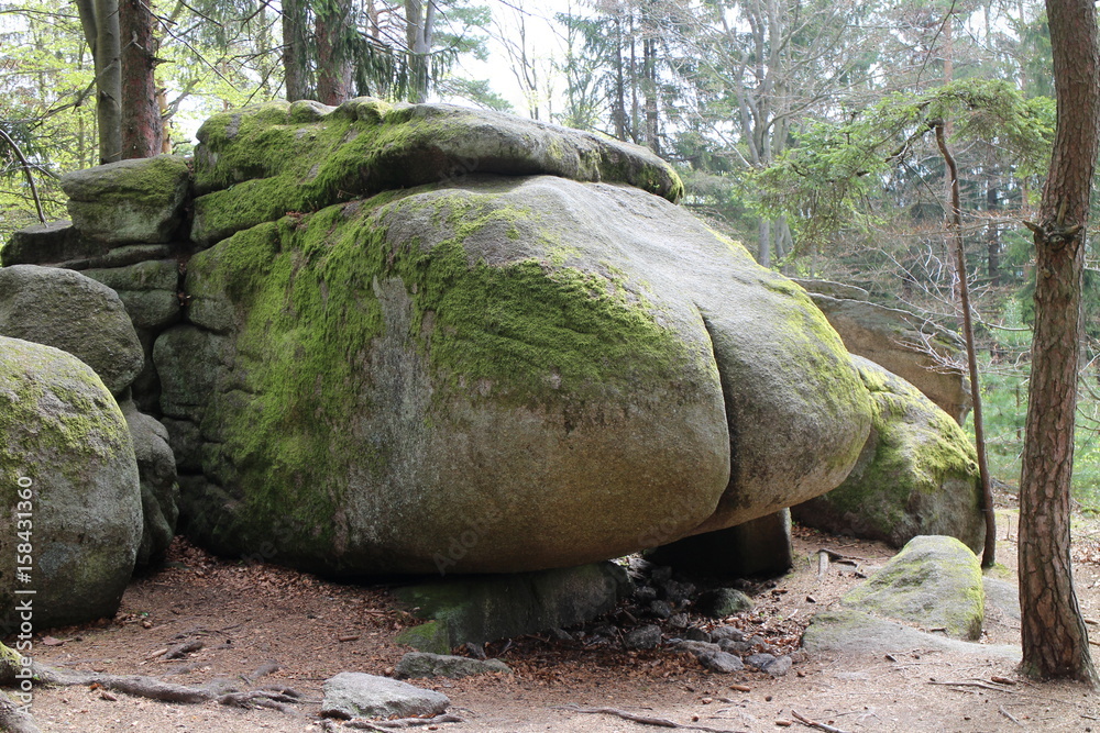 Obraz premium Rock structure Ďáblova prdel Devil´s ass in forest near Horni Meziricko, Czech republic