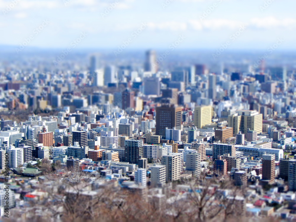 Obraz premium 好きです札幌