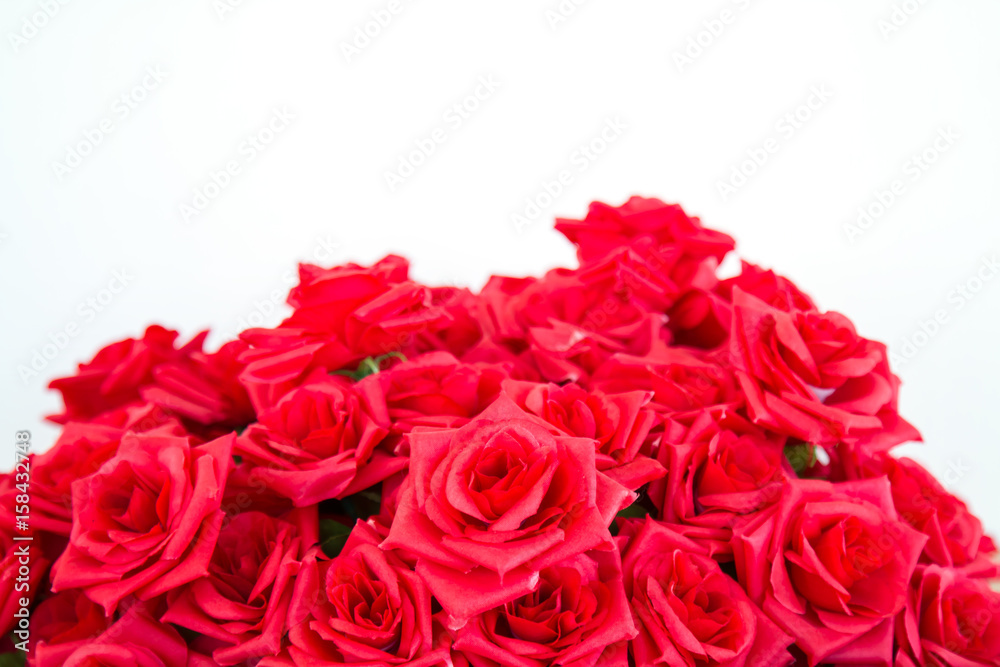 Red rose fake Red rose fake