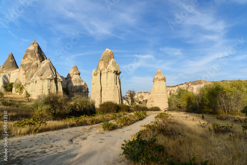 Rock formation in Love valley. Cappadocia. Turkey
