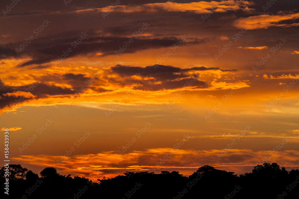 Sunset over Amazonian jungle, Peru Sunset over Amazonian jungle, Peru