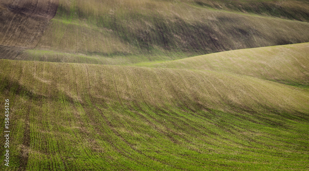 Beautiful field. Southern Moravia, Czech republic