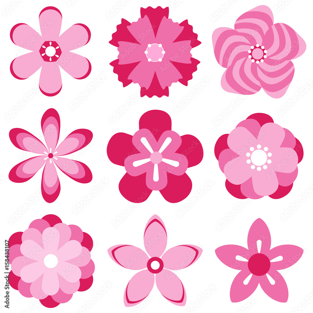 Cherry blossoms of sakura