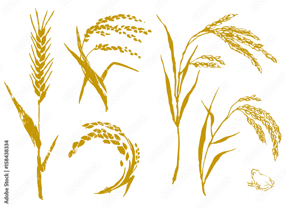 麦と米 セット ベクター イラスト Stock ベクター Adobe Stock